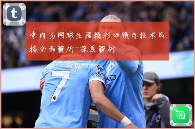 索内戈网球生涯精彩回顾与技术风格全面解析-深度解析