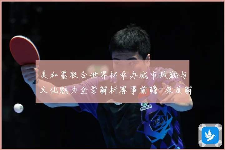 美加墨联合世界杯举办城市风貌与文化魅力全景解析赛事前瞻-深度解析